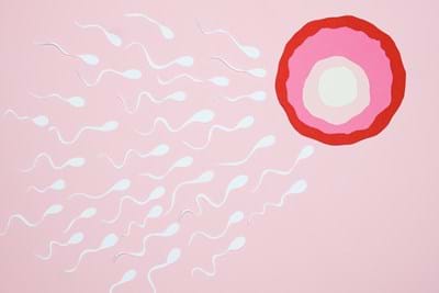 acupuncture for fertility sperm quality